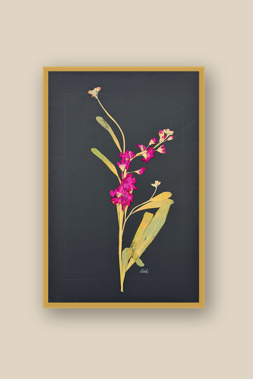 Stock on Black Framed in black