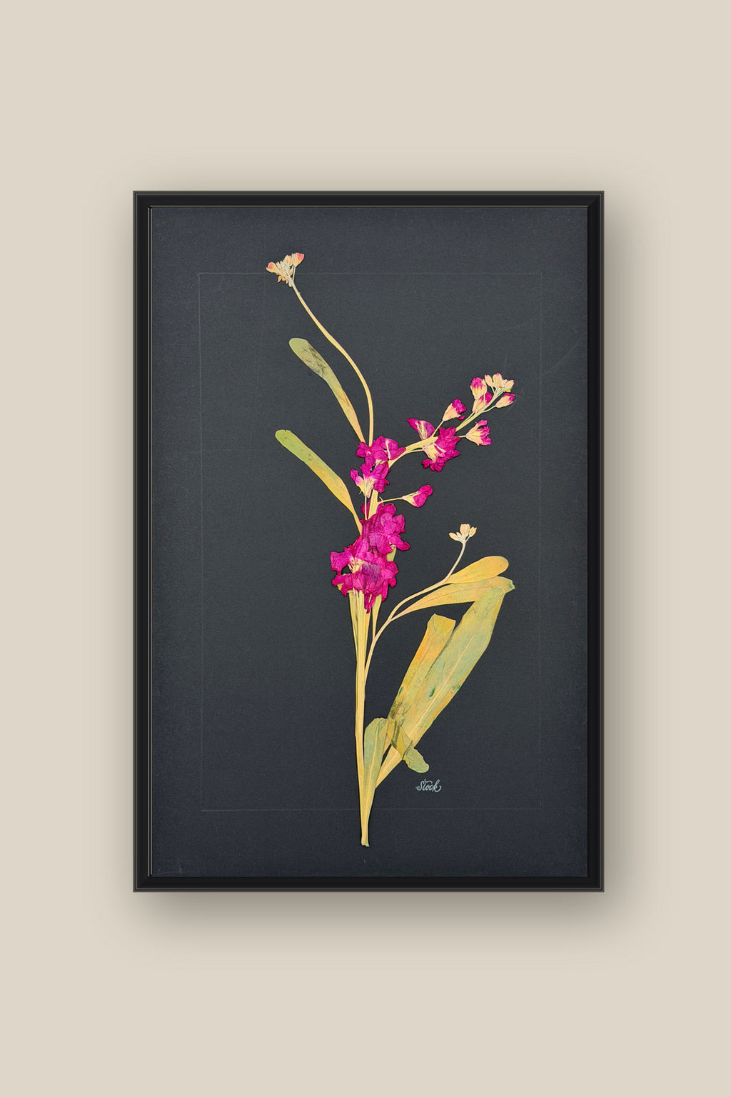 Stock on Black Framed in black