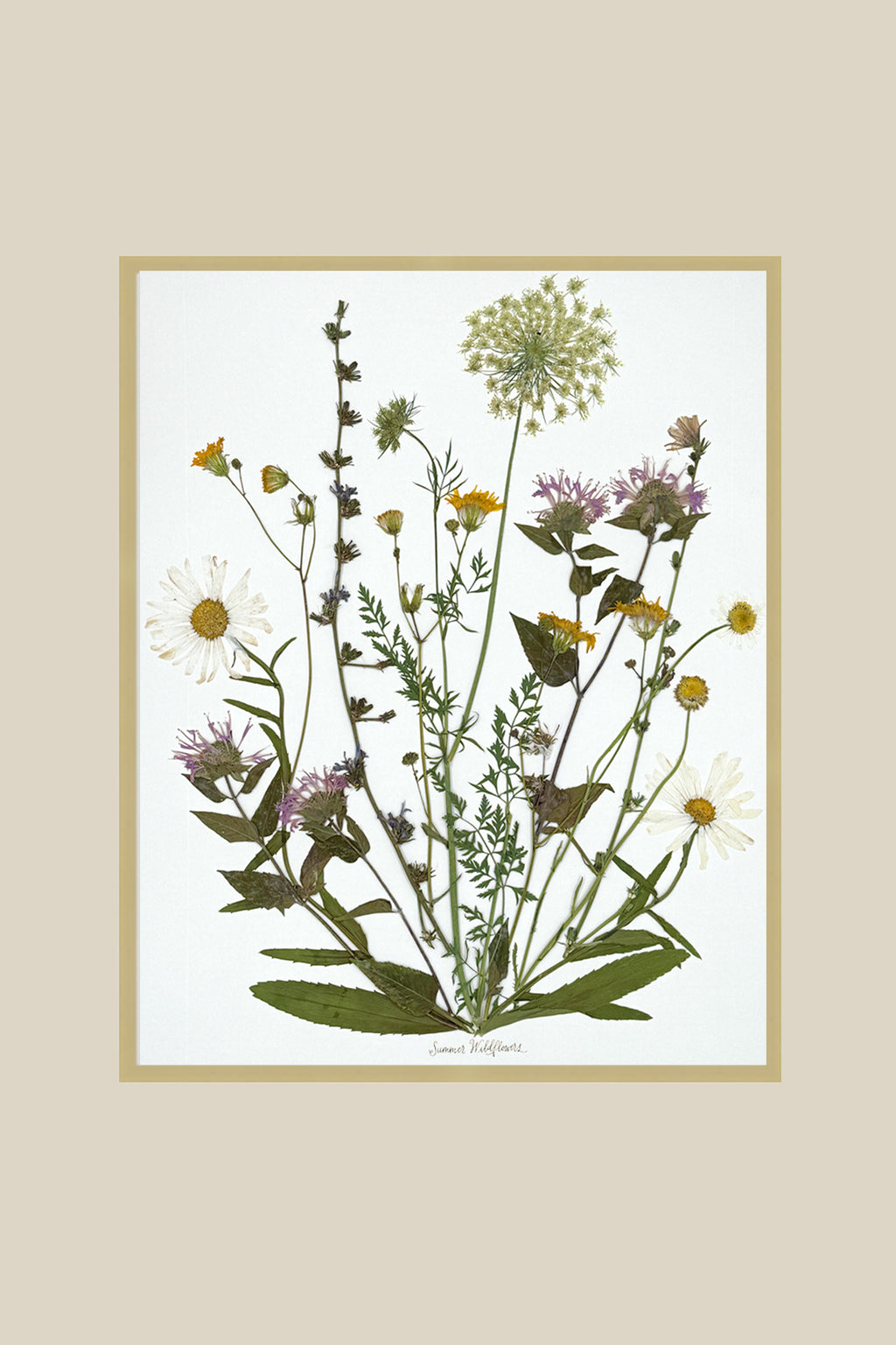 Summer Wildflowers