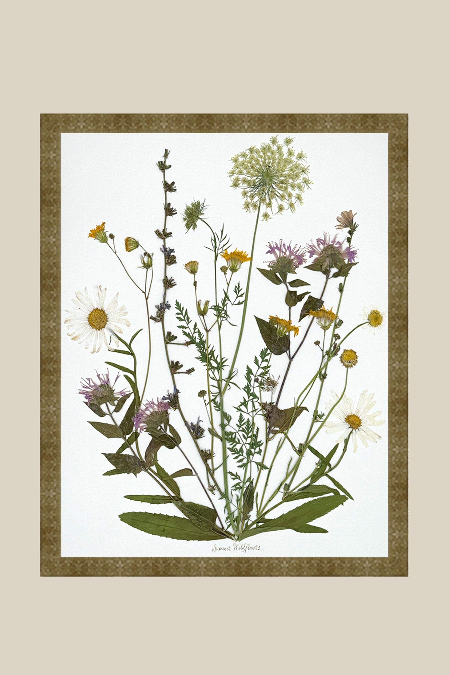 Summer Wildflowers
