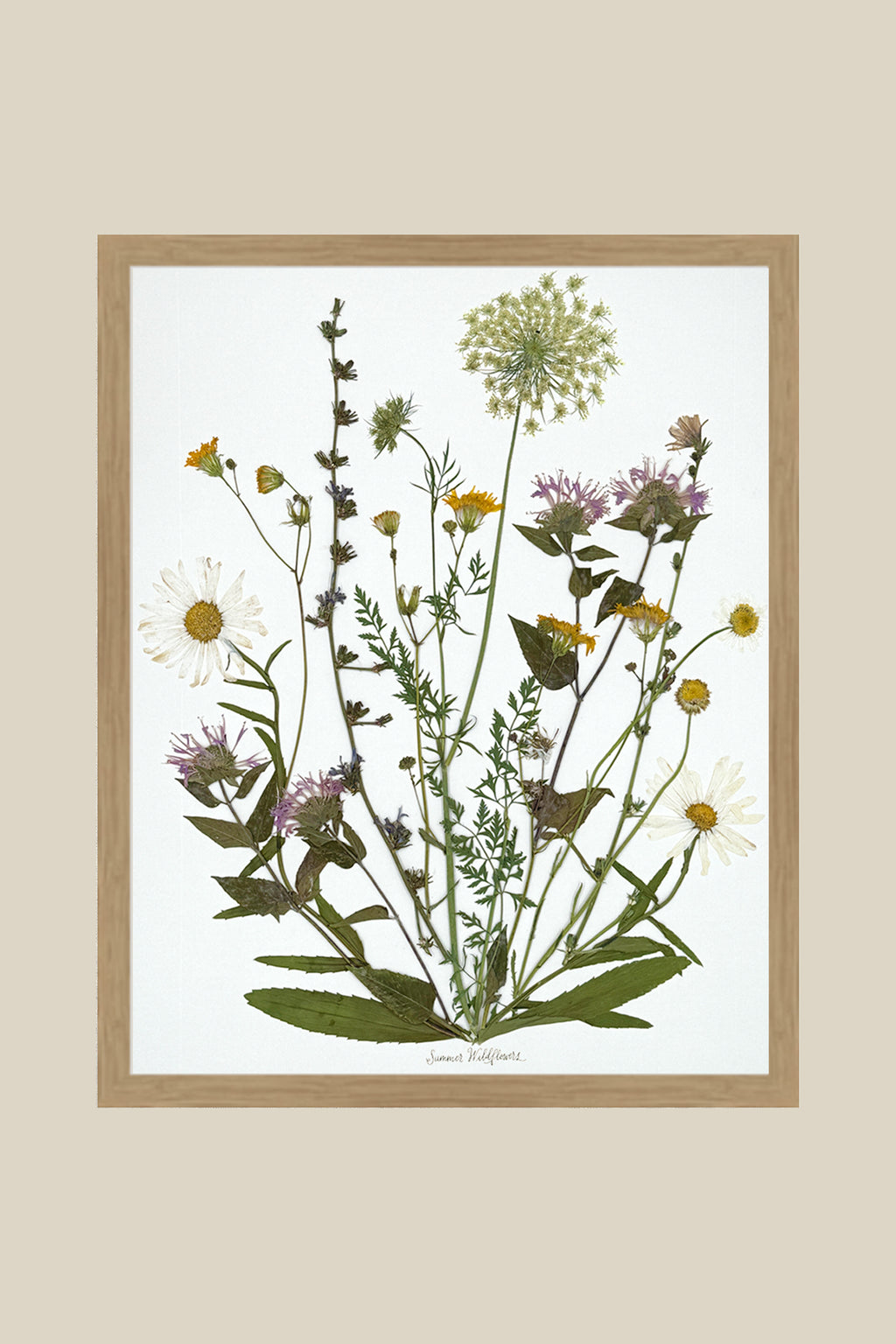 Summer Wildflowers