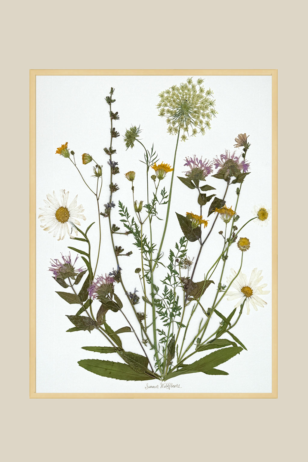 Summer Wildflowers