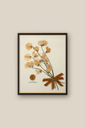 Sweet Pea Bouquet with Bow Framed