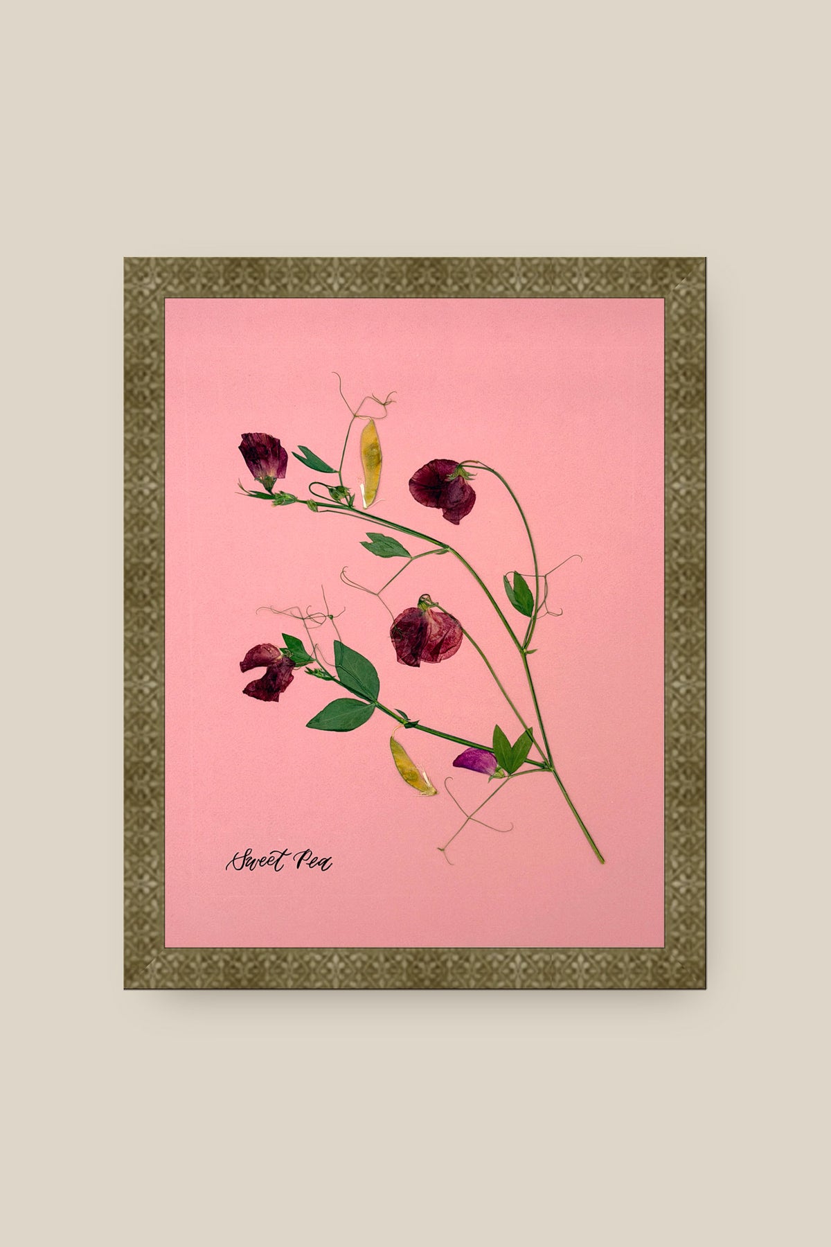 Sweet Peas on Pink Framed