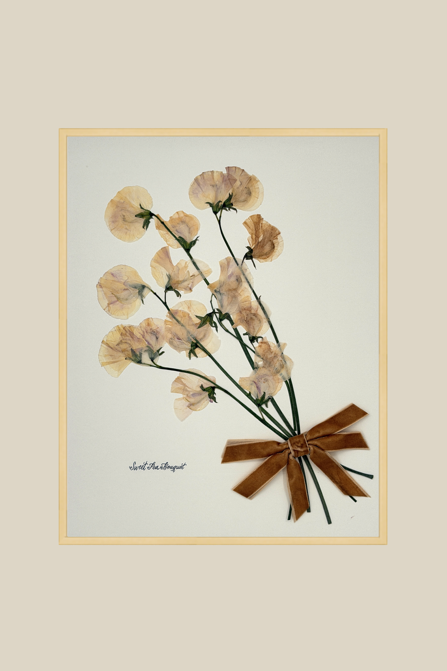 Sweet Pea Bouquet with Bow on Ivory