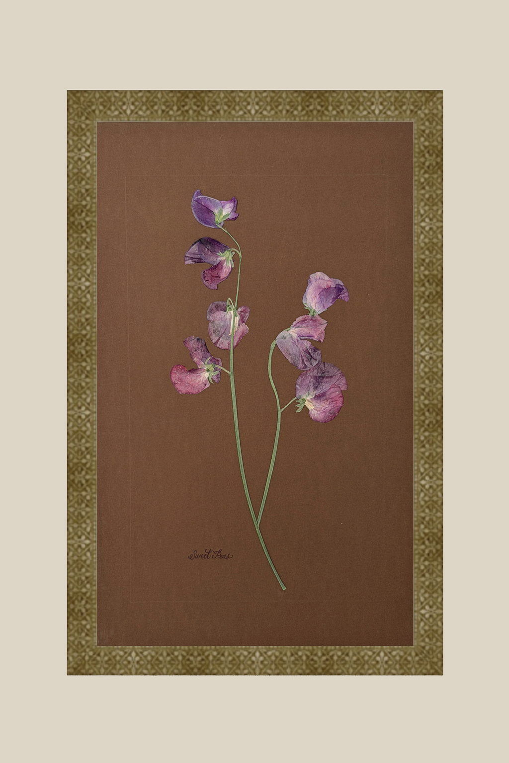 Sweet Peas on Chocolate