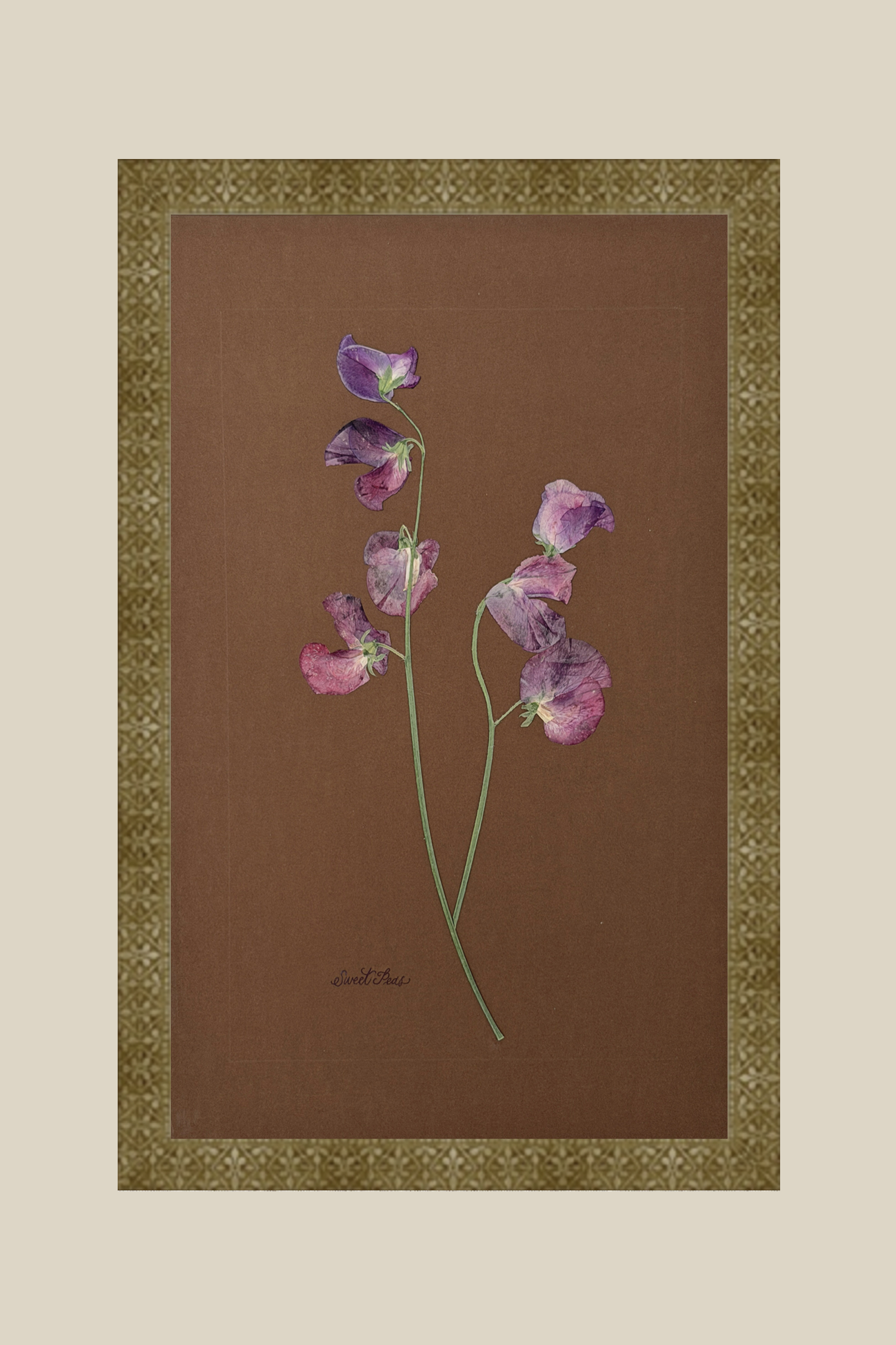 Sweet Peas on Chocolate
