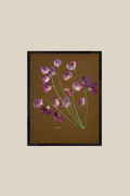 Sweet Peas on Brown
