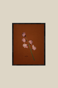 Sweet Pea on Rust