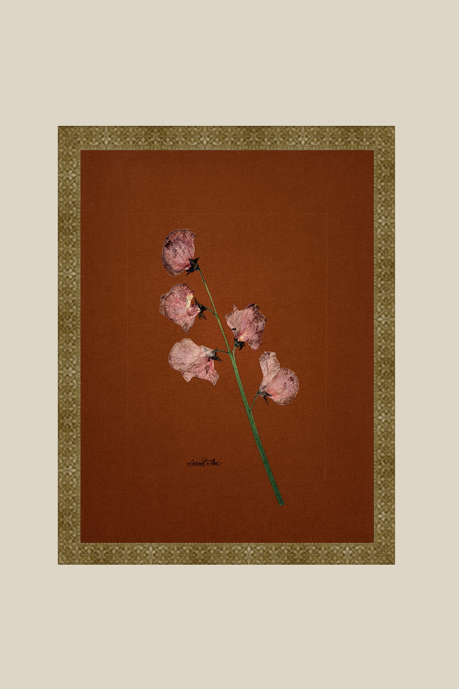 Sweet Pea on Rust