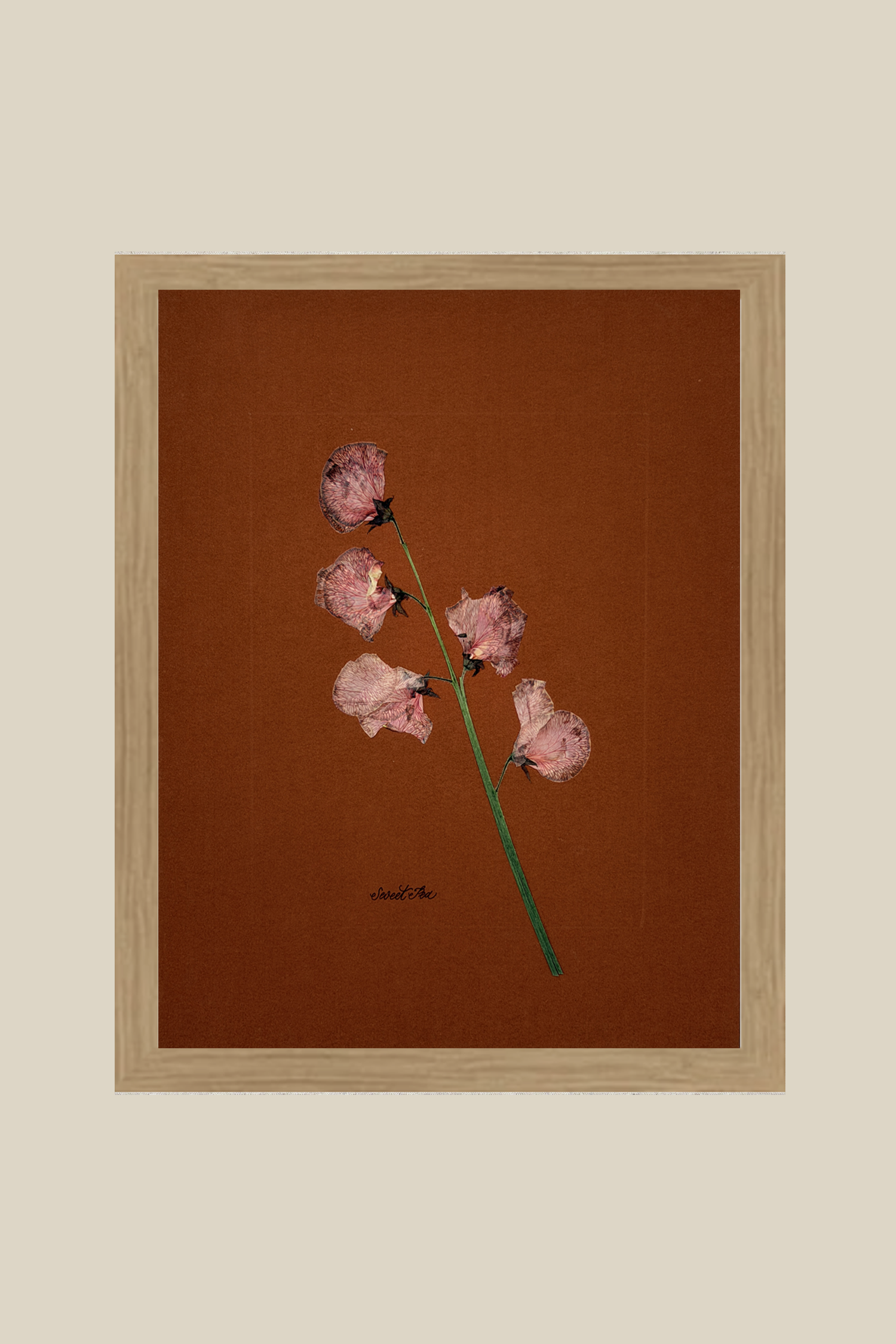 Sweet Pea on Rust