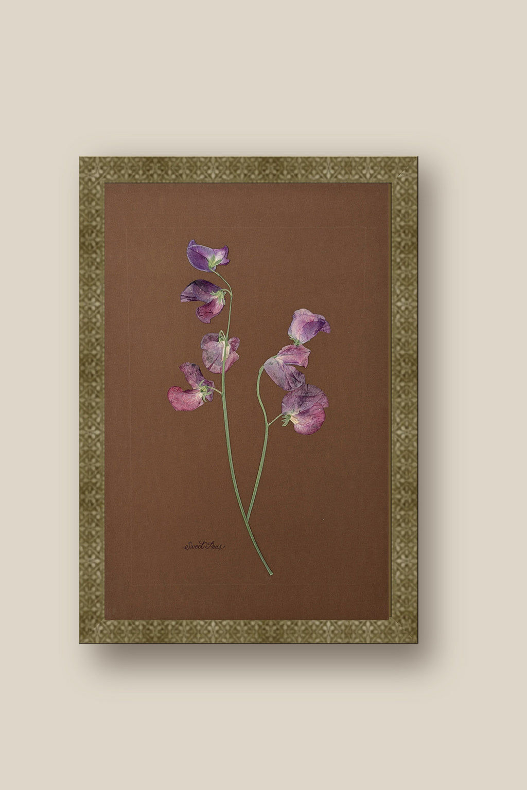 Sweet Peas on Chocolate Framed