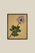 Tea Rose on Mustard