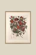 20x24 Framed + Matted Preserved Bouquet (from original fresh flower bouquet) Portrait Orientation with Wood Frame