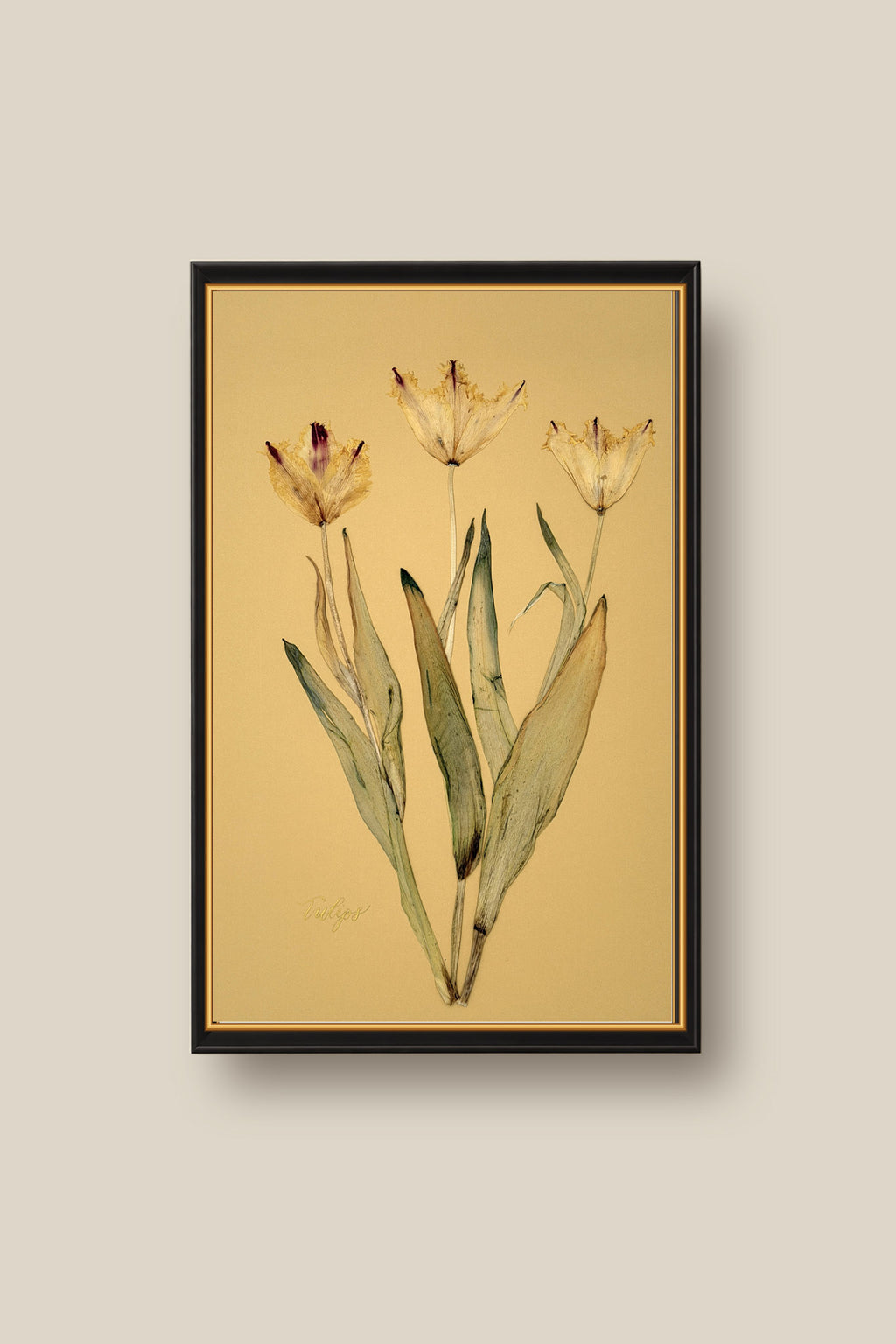Tulips Framed