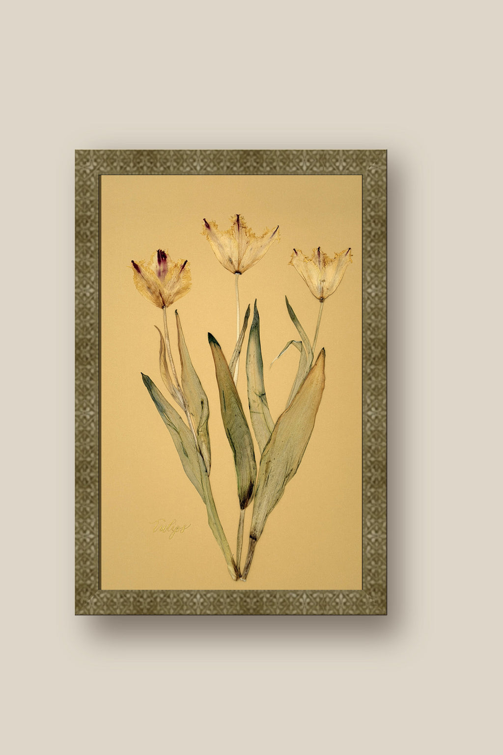 Tulips Framed