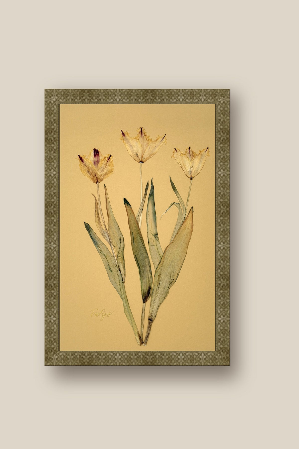Tulips Framed