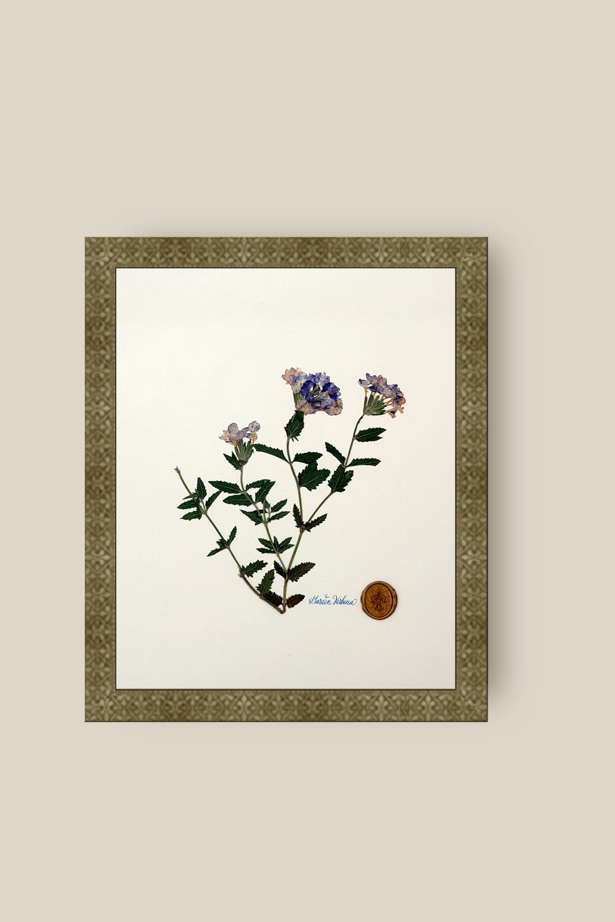 Verbena Framed