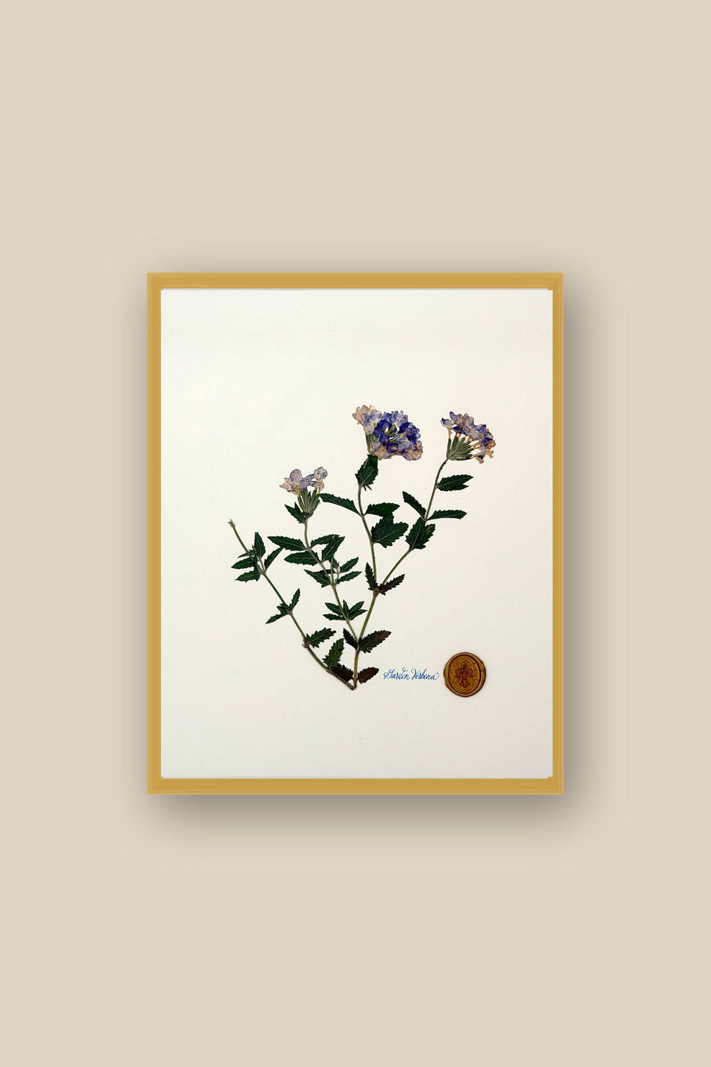 Verbena Framed