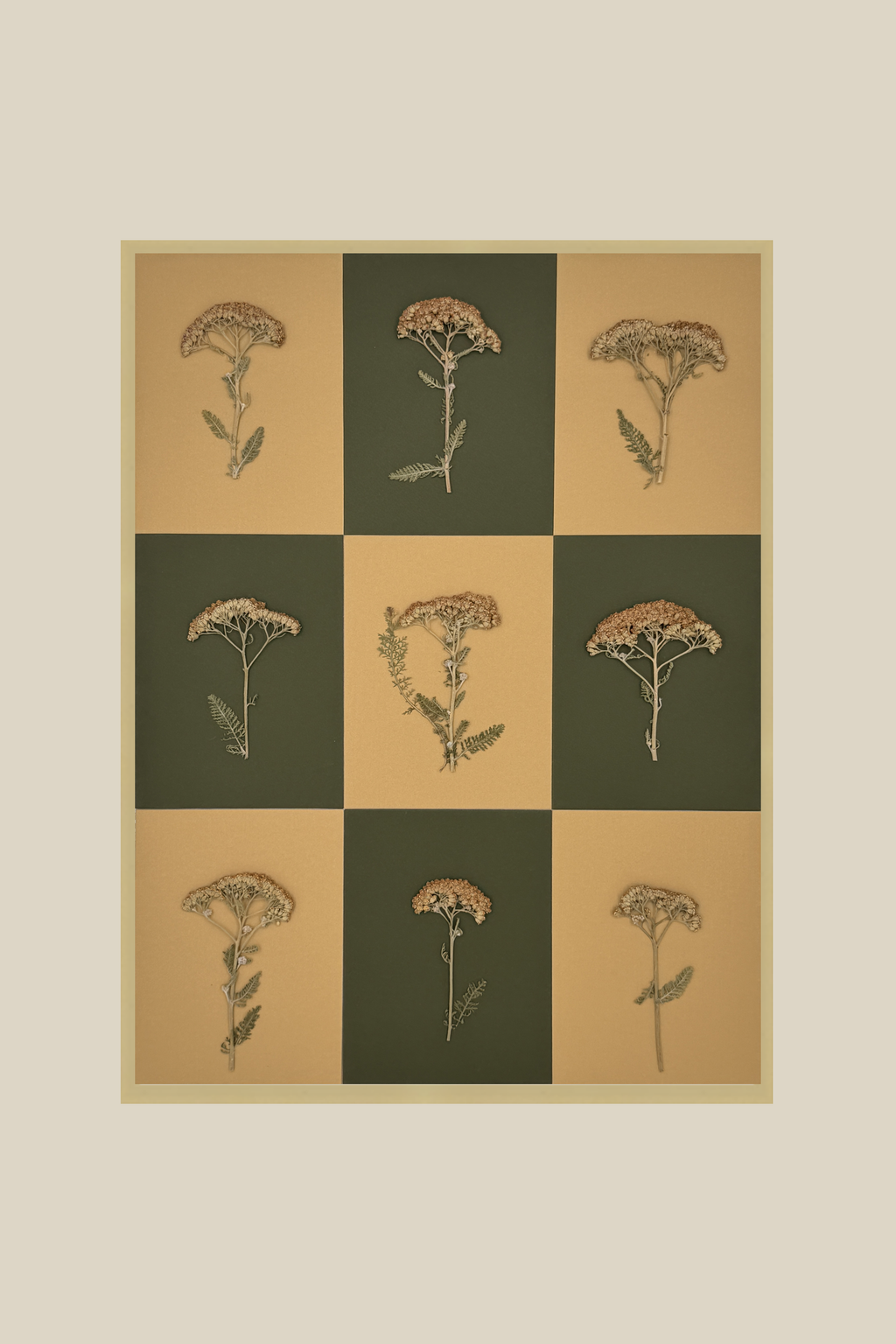 Yarrow Checkerboard