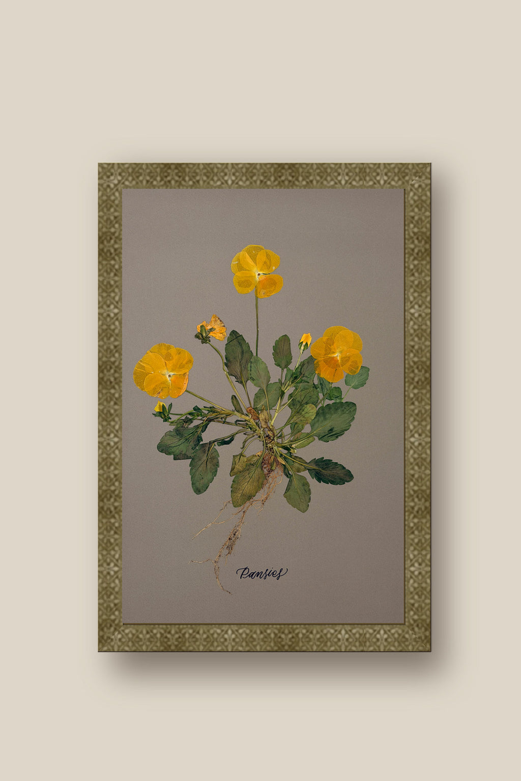 Pansies with Roots Framed