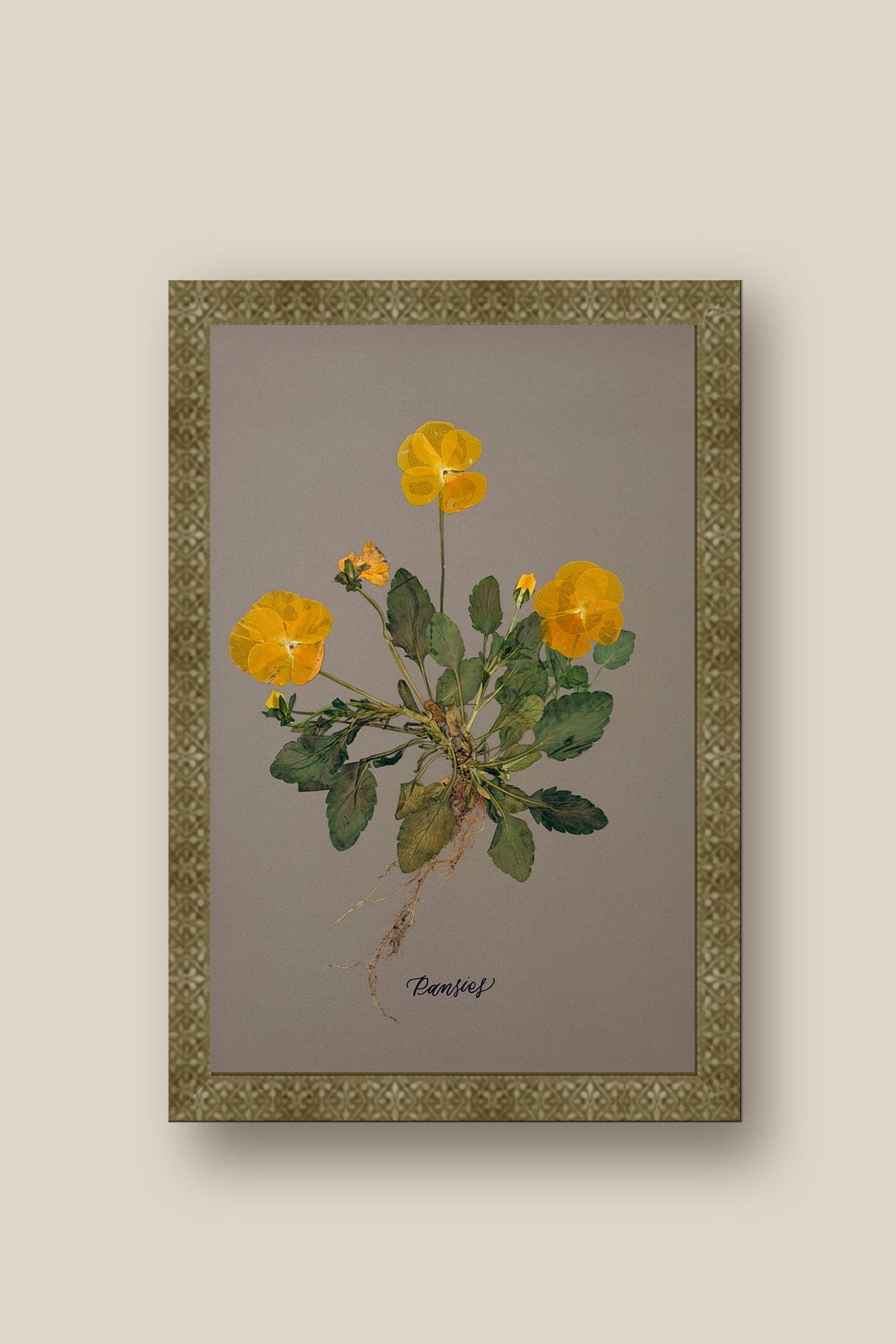 Pansies with Roots Framed